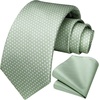 image:imageHISDERN Sage Ties for Men Green Tie Wedding Business Formal