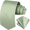 image:imageHISDERN Sage Ties for Men Green Tie Wedding Business Formal
