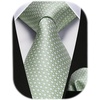 image:imageHISDERN Sage Ties for Men Green Tie Wedding Business Formal