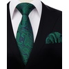 image:imageHISDERN Ties for Men Classic Green Woven Ties and Pocket Square Set Formal Business Paisley Necktie Handkerchief Elegant Wedding Party Mens Neckties