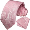 image:imageHISDERN Ties for Men Purple Paisley Tie and Pocket Square Woven Classic Business Hot Pink Mens Tie Handkerchief Set Wedding Party Necktie Plum