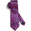 image:imageHISDERN Ties for Men Purple Paisley Tie and Pocket Square Woven Classic Business Hot Pink Mens Tie Handkerchief Set Wedding Party Necktie Plum
