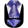 image:imageHISDERN Extra Long Ties for Men Classic Floral Tie and Pocket Square Elegant Silk Necktie Handkerchief Set Wedding PartyC23blue
