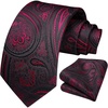 image:imageHISDERN Formal Floral Ties for Men and Pocket Square Set Mens Paisley Silk Tie for Wedding Party 34 x 59Black  Red Paisley