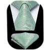 Sage Green Paisley