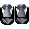 image:imageHISDERN Grey Ties for Men Wedding Business Formal