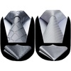 image:imageHISDERN Grey and Silver Ties for Men Wedding Business Formal