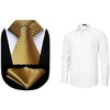 image:imageHISDERN Mens Ties Plaid Tie and Pocket Square Set Men Oxford Business Casual Formal Collared Shirt
