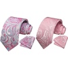 image:imageHISDERN Pink Mens Ties Paisley Tie and Pocket Square Set Formal Business Ties for Men Handkerchief Woven Classic Mens Necktie amp Wedding Party