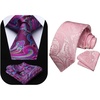 image:imageHISDERN Ties for Men Purple Paisley Tie and Pocket Square Woven Classic Business Hot Pink Mens Tie Handkerchief Set Wedding Party Necktie Plum