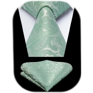 image:imageHISDERN Formal Floral Ties for Men and Pocket Square Set Mens Paisley Silk Tie for Wedding Party 34 x 59Sage Green Paisley
