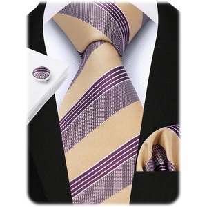 image:imageHISDERN Mens Ties Silk Striped Plaid Tie and Pocket Square Set Classic Necktie with Handkerchief Cufflinks for PartyPpurple  Beige