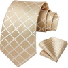 image:imageHISDERN Plaid Checkered Tie Handkerchief Woven Classic Formal Mens Necktie amp Pocket Square SetA6champagne
