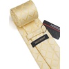 image:imageHISDERN Plaid Checkered Tie Handkerchief Woven Classic Formal Mens Necktie amp Pocket Square SetA9yellow Pale