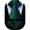image:imageHISDERN Plaid Checkered Tie Handkerchief Woven Classic Formal Mens Necktie amp Pocket Square SetA3green