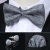 image:imageHISDERN Bow Ties for Men Pretied Bow Tie Set Paisley Classic Bowties and Pocket Square Cufflinks Set for Wedding Party1grey