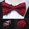 image:imageHISDERN Bow Ties for Men Pretied Bow Tie Set Paisley Classic Bowties and Pocket Square Cufflinks Set for Wedding Party2burgundy