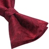 image:imageHISDERN Bow Ties for Men Pretied Bow Tie Set Paisley Classic Bowties and Pocket Square Cufflinks Set for Wedding Party2burgundy