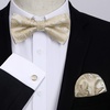 image:imageHISDERN Bow Ties for Men Pretied Bow Tie Set Paisley Classic Bowties and Pocket Square Cufflinks Set for Wedding Party4champagne
