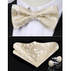 image:imageHISDERN Bow Ties for Men Pretied Bow Tie Set Paisley Classic Bowties and Pocket Square Cufflinks Set for Wedding Party4champagne