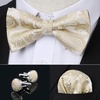 image:imageHISDERN Bow Ties for Men Pretied Bow Tie Set Paisley Classic Bowties and Pocket Square Cufflinks Set for Wedding Party4champagne