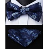 image:imageHISDERN Mens Floral Tie and Bow Tie Set Handkerchief Jacquard Woven Classic Mens Necktie amp Pocket Square Set Blue