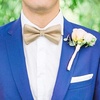 image:imageHISDERN Solid Color Ties for Men amp Champagne Bowtie Pretied Classic Satin Business Formal Mens Ties for Wedding