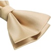 image:imageHISDERN Solid Color Ties for Men amp Champagne Bowtie Pretied Classic Satin Business Formal Mens Ties for Wedding