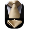 image:imageHISDERN Solid Color Ties for Men amp Champagne Bowtie Pretied Classic Satin Business Formal Mens Ties for Wedding