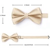 image:imageHISDERN Solid Color Ties for Men amp Champagne Bowtie Pretied Classic Satin Business Formal Mens Ties for Wedding