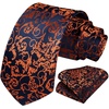 image:imageHISDERN Black Floral Tie Orange Paisley Ties for Men Handkerchief Wedding