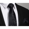 image:imageHISDERN Blackamp Blue Paisley Floral Ties for Men Handkerchief Wedding