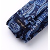 image:imageHISDERN Blue Paisley Floral Ties for Men Handkerchief Wedding
