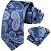 image:imageHISDERN Blue Paisley Floral Ties for Men Handkerchief Wedding