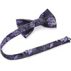 image:imageHISDERN Bow Ties amp Men Tie Set Paisley Floral Pretied Bowtie Pocket Square Set Mens Formal Bow Ties Wedding Party