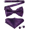 image:imageHISDERN Bow Ties for Men Hot Pink Paisley Pretied and Selftied Mens Bowtie and Pocket Square Set for Wedding Party