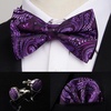 image:imageHISDERN Bow Ties for Men Hot Pink Paisley Pretied and Selftied Mens Bowtie and Pocket Square Set for Wedding Party