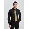 image:imageHISDERN Gold Mens Ties Silk Neck Tie for Men with Poacket Square Set 2PCS Tie Set