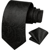 image:imageHISDERN Men Black Ties Woven Classic Necktie Set Formal tie Pocket Square for Wedding with Handkerchief Gift Box
