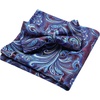 image:imageHISDERN Men Purple Floral Ties Pretied Bowtie Pocket Suqare Set Classic Formal Wedding Business Tie for Men with Handkerchief