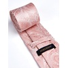 image:imageHISDERN Mens Ties Pink Ties for Men Classic Blush Pink Tie and Pocket Square Set Paisley Formal Necktie Handkerchief for Wedding Business Party School