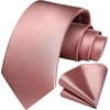 image:imageHISDERN Mens Ties Pink Ties for Men Classic Blush Pink Tie and Pocket Square Set Paisley Formal Necktie Handkerchief for Wedding Business Party School