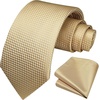 image:imageHISDERN Mens Ties with Pocket Square Formal Gold Silk Tie for Men Champagne Necktie for Wedding Party