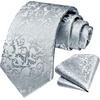 image:imageHISDERN Paisley Silver Ties for Men Solid Tie Handkerchief Mens Necktie amp Pocket Square Set Classic Mens Ties