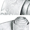 image:imageHISDERN Paisley Silver Ties for Men Solid Tie Handkerchief Mens Necktie amp Pocket Square Set Classic Mens Ties