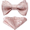 image:imageHISDERN Pink Bowties for Men Floral Paisley Selftie Bowtie Woven Silk Mens Bow Tie with Pocket Square Set for Wedding Party Light Pink amp Rose Pink