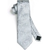 image:imageHISDERN Plaid Tie Handkerchief Woven Classic Mens Necktie Silver Tie for Men Solid Paisley Floral Grey Mens Ties