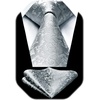 image:imageHISDERN Plaid Tie Handkerchief Woven Classic Mens Necktie Silver Tie for Men Solid Paisley Floral Grey Mens Ties