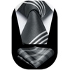 image:imageHISDERN Stripe Ties for Men Set Gray and Black Mens Ties Handkerchief Cufflinks Classic Formal Silk Necktie Wedding Business