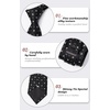 image:imageHISDERN Ties For Men Funny Holiday Mens Ties Handkerchief Animal Mens Neckties Silk Tie Pocket Square Set Business PartyBlackfrench Bulldog